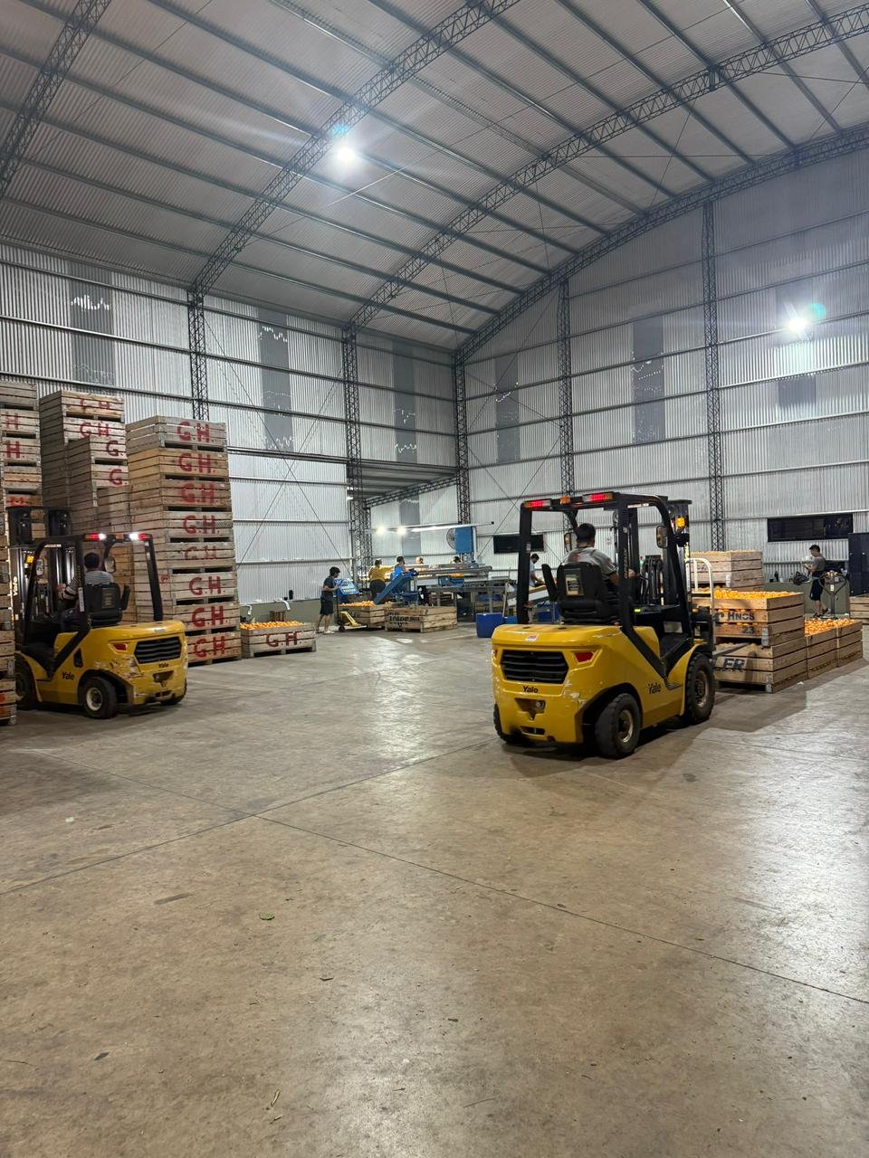 Galería Citrus Grigolatto 09